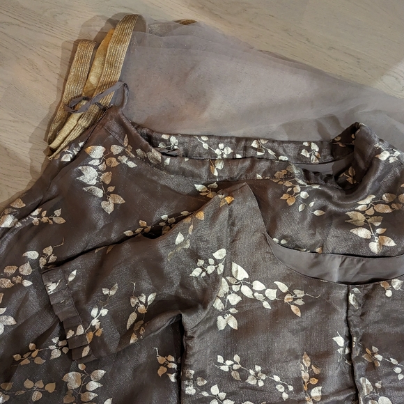 Cbazaar grey organza lehenga with gold accents, sheer dupatta, size 16-18, XL-2X - Picture 2 of 6